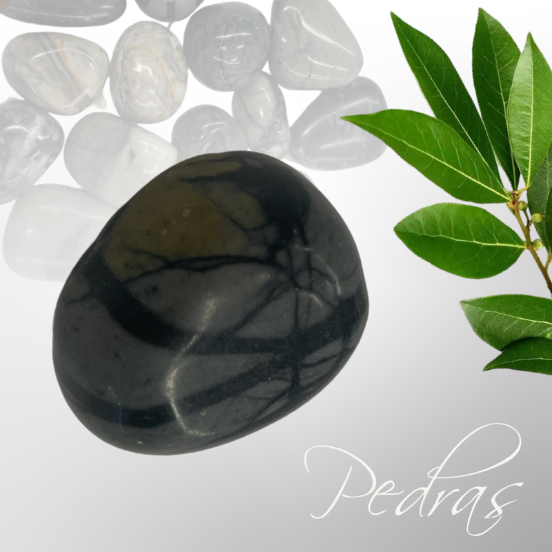Pierres roulées Jaspe Picasso