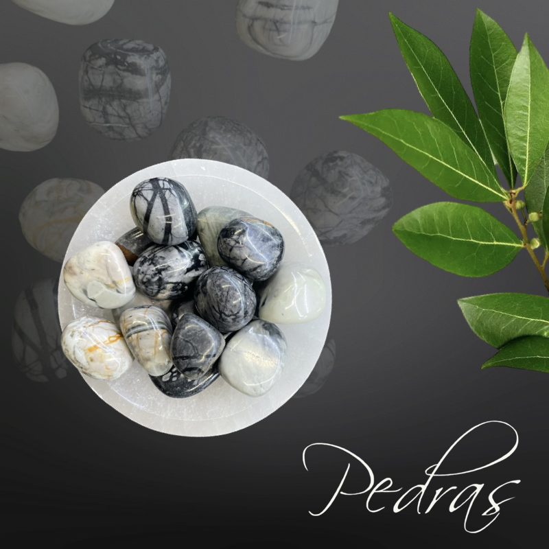 Pierres roulées Jaspe Picasso