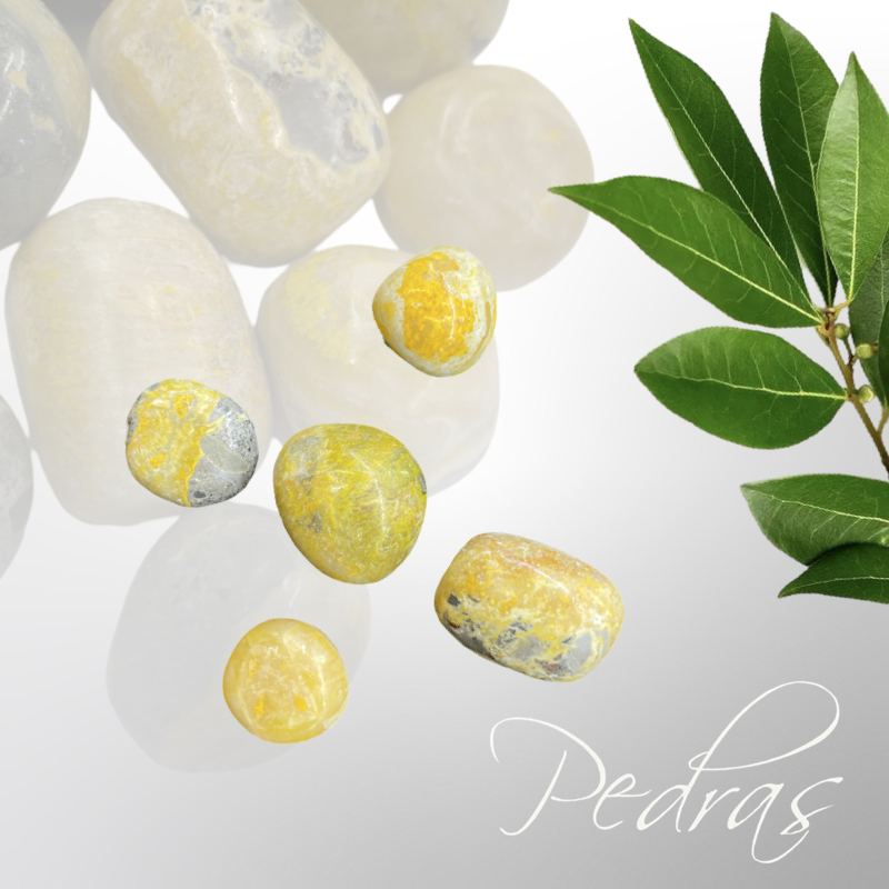 Pierres Roulées Jaspe Bumbleblee