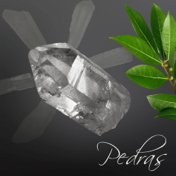 Ponta de Cristal de Rocha bruto