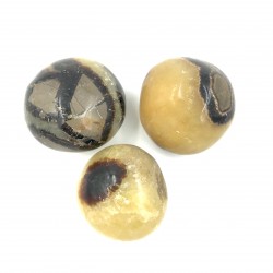 Septaria