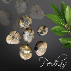 Quiastolite ou Pierre Croix