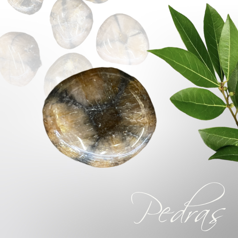 Pierre Quiastolite ou Pierre Croix roulée