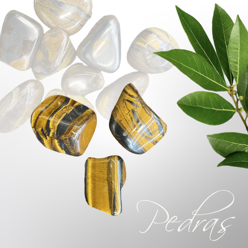 Oeil de Tigre roulée