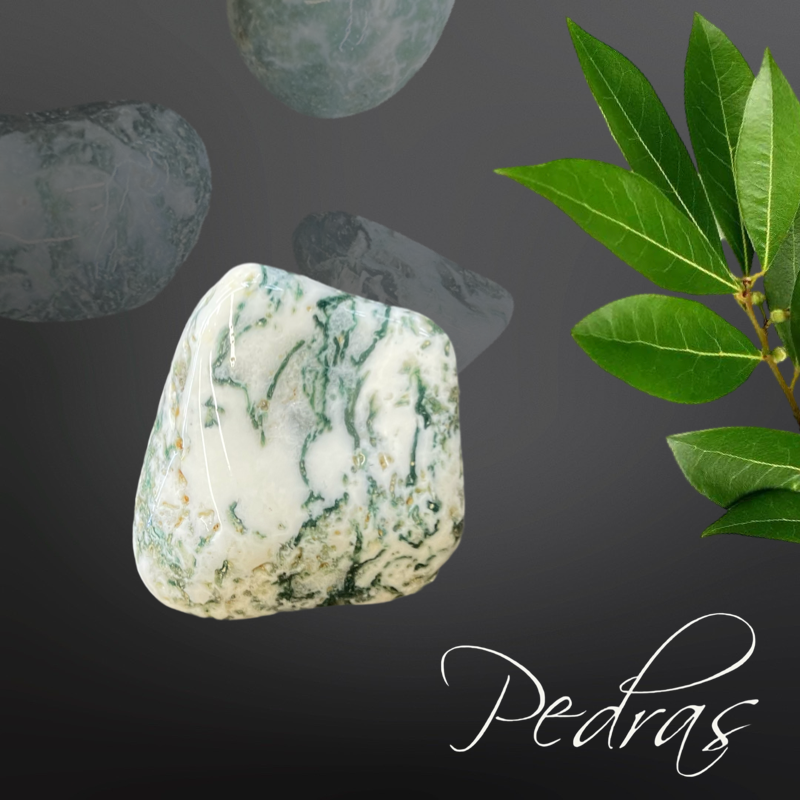 Pierres roulées Agate arborisée