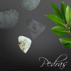 Pierres roulées Agate arborisée