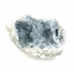 Celestina