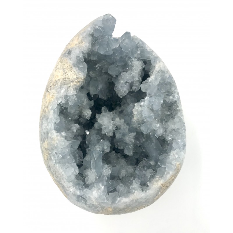 Oeuf Célestine brute