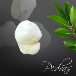 Pierres roulées Magnésite
