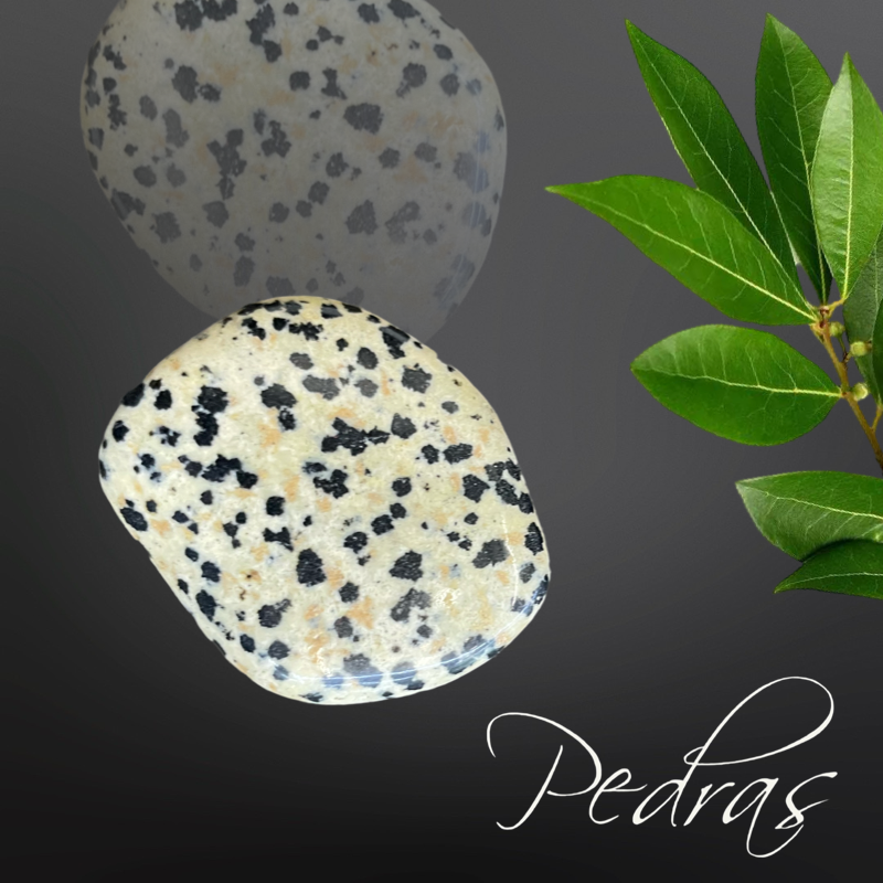 Pierres roulées Jaspe Dalmatien