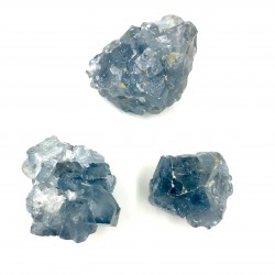Celestina bruta