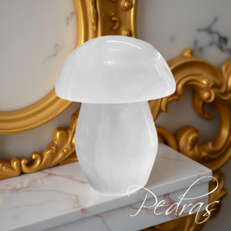 Lampe champignon Sélénite Lampe champignon Sélénite