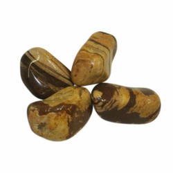 Pedras roladas Jaspe Zebra marrom