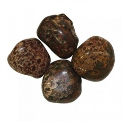 Jaspe Leopardo